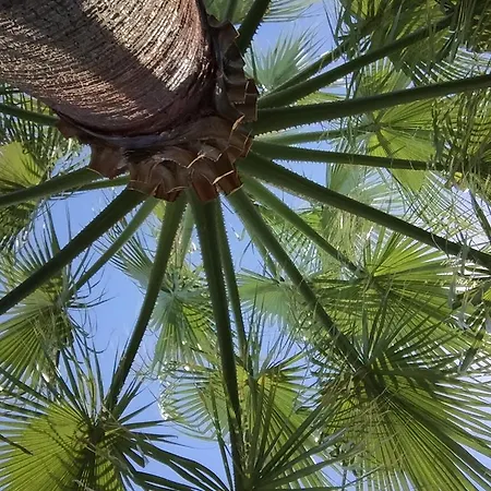 Maritsa's Appartement Stavros (Thessaloniki)