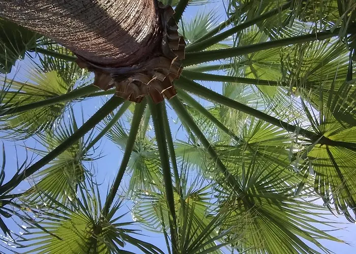 马里查公寓 公寓 斯塔夫罗斯